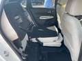 Honda Jazz 1.5 i-MMD Hybrid Executive Weiß - thumbnail 7