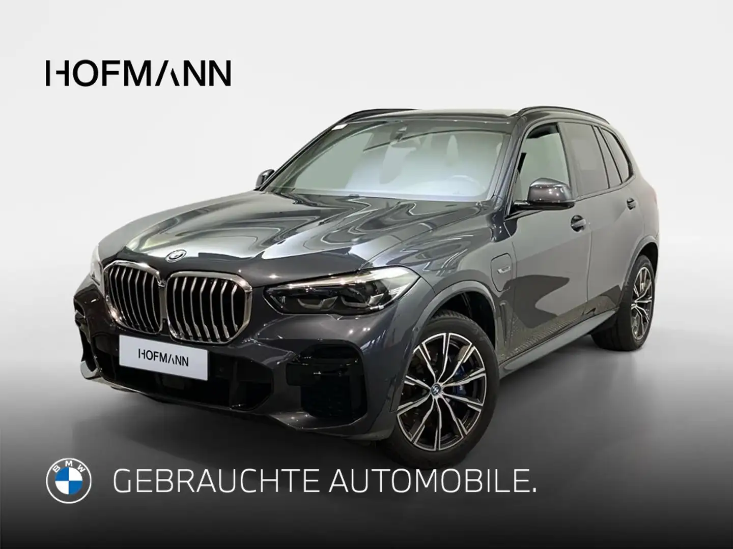 BMW X5 M Sport Grau - 1