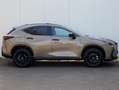 Lexus NX 450h+ AWD Overtrail | Panoramadak | 360 Camera | Trekhaa Maro - thumbnail 6