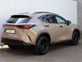 Lexus NX 450h+ AWD Overtrail | Panoramadak | 360 Camera | Trekhaa Marrón - thumbnail 44