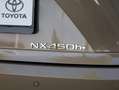 Lexus NX 450h+ AWD Overtrail | Panoramadak | 360 Camera | Trekhaa Marrón - thumbnail 39