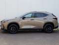 Lexus NX 450h+ AWD Overtrail | Panoramadak | 360 Camera | Trekhaa Maro - thumbnail 5