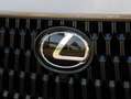 Lexus NX 450h+ AWD Overtrail | Panoramadak | 360 Camera | Trekhaa Marrón - thumbnail 41
