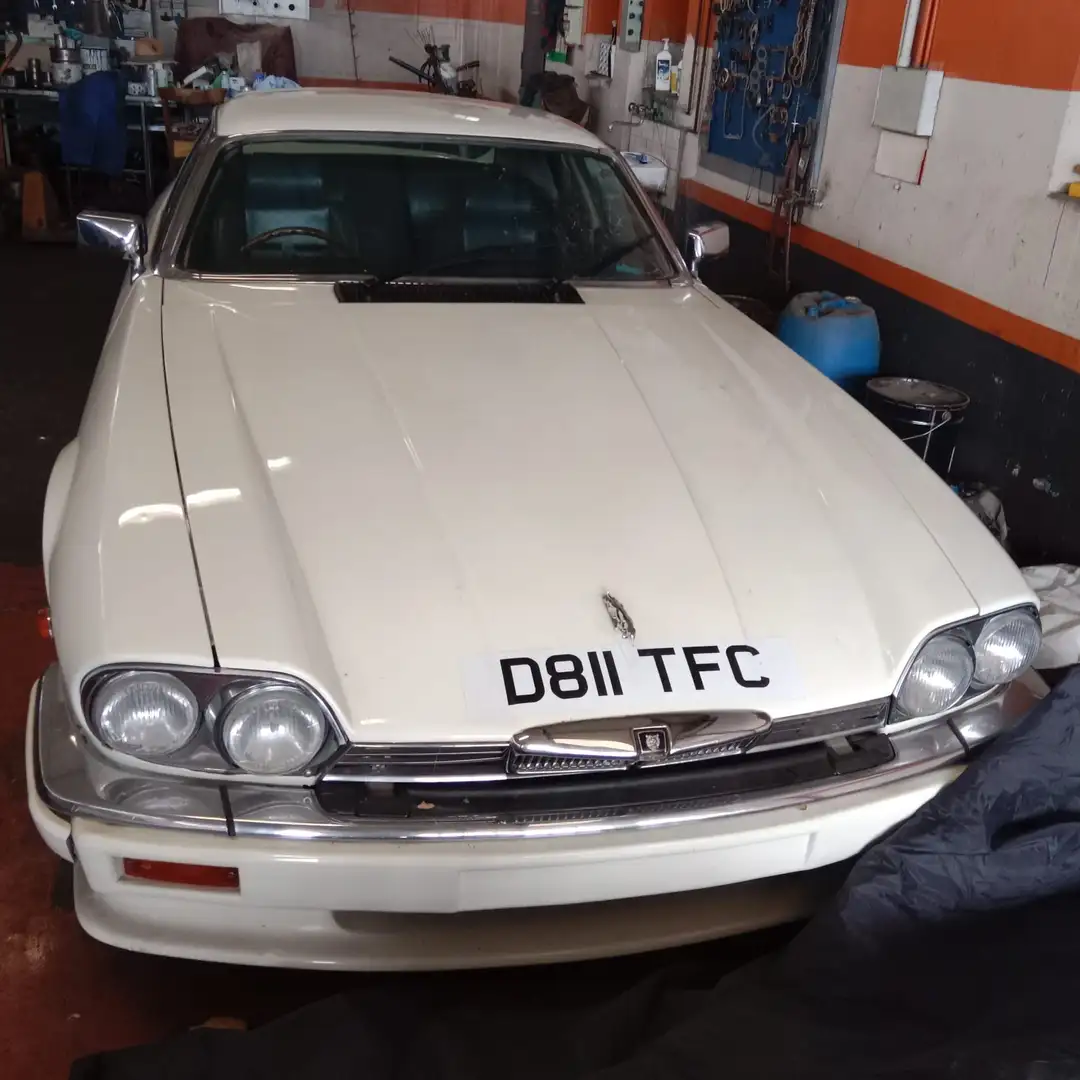 Jaguar XJS XJS 5.3 Guy Salmon Bianco - 1