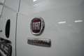 Fiat Fiorino 1.3 Multijet 95 CV E6d-temp Blanco - thumbnail 16