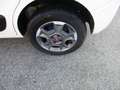 Fiat Qubo 1.3 mjt 16v Trekking s GARANTITA FULL OPTIONAL Weiß - thumbnail 9