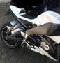 Buell XB 12 Blanc - thumbnail 11