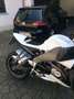 Buell XB 12 Blanc - thumbnail 9