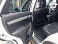 Kia Sorento Sorento 2.2 CRDi 4WD Aut. Vision Weiß - thumbnail 3