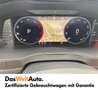 Skoda Superb 4x4 SCOUT TDI DSG Grau - thumbnail 10