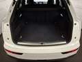 Audi Q5 50 TFSI e PHEV quattro 265/299PS *S line*..Matr... Weiß - thumbnail 39