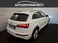 Audi Q5 50 TFSI e PHEV quattro 265/299PS *S line*..Matr... Weiß - thumbnail 8