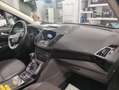 Ford Kuga Kuga 2,0 TDCi ST-Line AWD ST-Line Blau - thumbnail 8