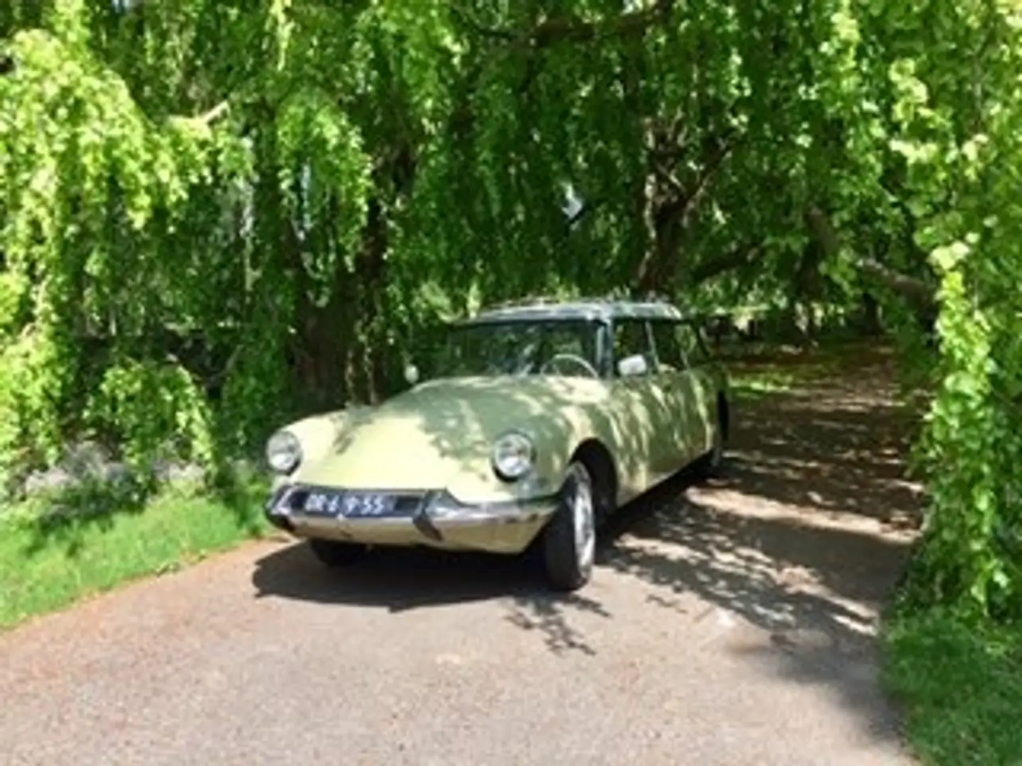 Citroen DS ID 19 F Commerciale Amarillo - 2