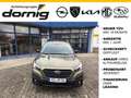 Subaru OUTBACK 2.5i Lineartronic Exclusive Grün - thumbnail 1