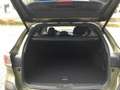Subaru OUTBACK 2.5i Lineartronic Exclusive Grün - thumbnail 8