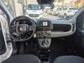 Fiat Panda Panda 1.0 firefly hybrid s Weiß - thumbnail 10