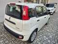 Fiat Panda Panda 1.0 firefly hybrid s Weiß - thumbnail 3