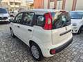 Fiat Panda Panda 1.0 firefly hybrid s Weiß - thumbnail 4