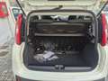 Fiat Panda Panda 1.0 firefly hybrid s Weiß - thumbnail 12