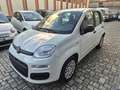 Fiat Panda Panda 1.0 firefly hybrid s Weiß - thumbnail 2