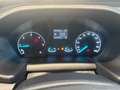 Ford Transit Custom Kasten DK 2,0 L2H1 320 Trail Schwarz - thumbnail 10