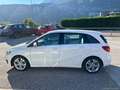 Mercedes-Benz B 220 B 220 Automatic 4Matic Sport 4X4 Bianco - thumbnail 5