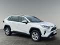 Toyota RAV 4 2,5 4WD HSD ACTIVE Weiß - thumbnail 7