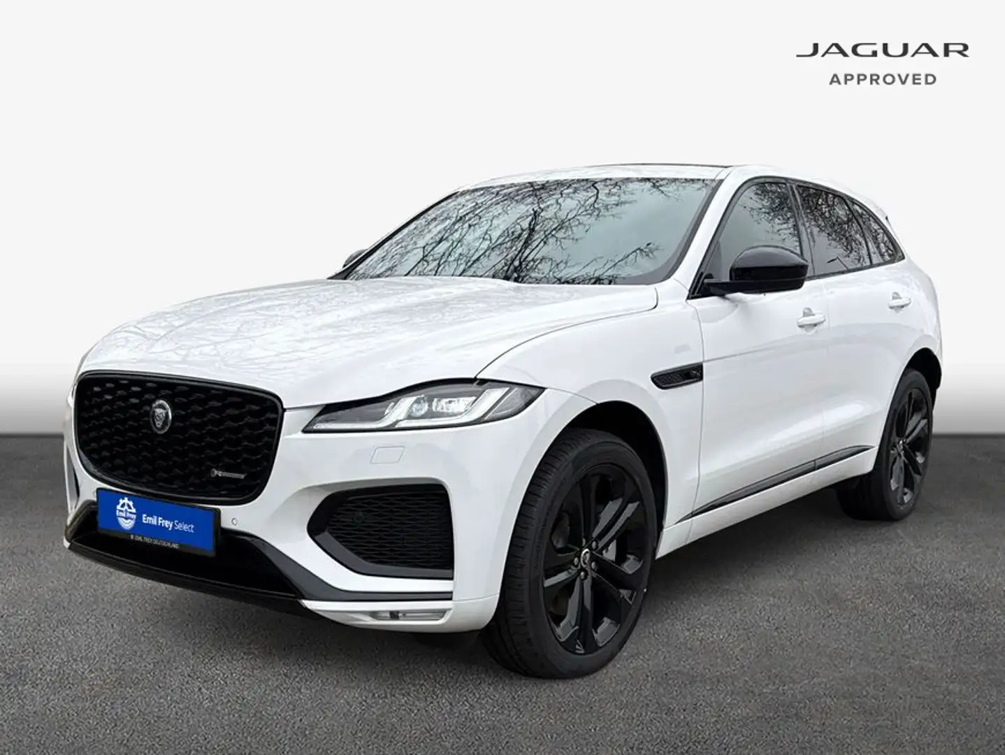 Jaguar F-Pace D300 AWD R-Dynamic SE 90th Anniversary Edit Wit - 1