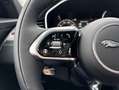Jaguar F-Pace D300 AWD R-Dynamic SE 90th Anniversary Edit Weiß - thumbnail 15