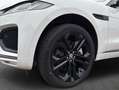 Jaguar F-Pace D300 AWD R-Dynamic SE 90th Anniversary Edit Weiß - thumbnail 5