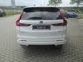 Honda CR-V e:HEV Advance AWD Weiß - thumbnail 15