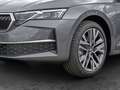 Skoda Octavia Combi Selection 2.0 TSI DSG|4x4|AHK|HUD Gris - thumbnail 13
