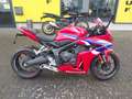Honda CBR 650 R ohne Sturz usw. Rojo - thumbnail 1