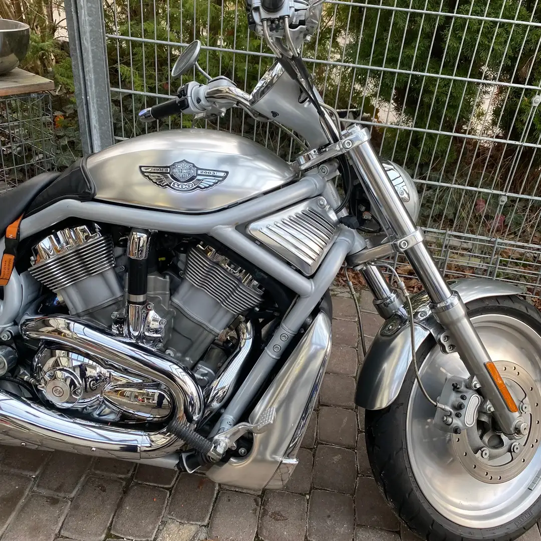 Harley-Davidson V-Rod Silber - 2