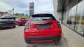 Fiat 600 1.2 Benzin 110 6-Gang Street Rot - thumbnail 6
