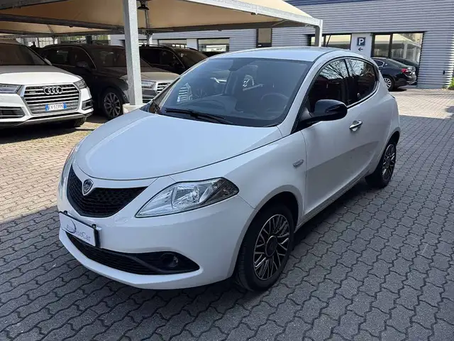 Lancia Ypsilon 1.2 Gold ecochic Gpl ADATTA A NEOPATENTATI IVA ESP