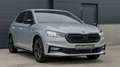 Skoda Fabia 1.0 TSI / AUTOMAAT / *NIEUW* 5 YEAR WARRANTY Zilver - thumbnail 1