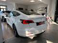Tesla Model 3 KM REALI PRONTA CONSEGNA Long Range Dual Motor awd Bianco - thumbnail 6