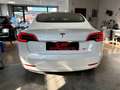 Tesla Model 3 KM REALI PRONTA CONSEGNA Long Range Dual Motor awd Bianco - thumbnail 5
