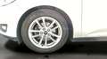 Ford Focus 1.0 Ecoboost Auto-S&S Trend+ Aut. 125 Gris - thumbnail 16