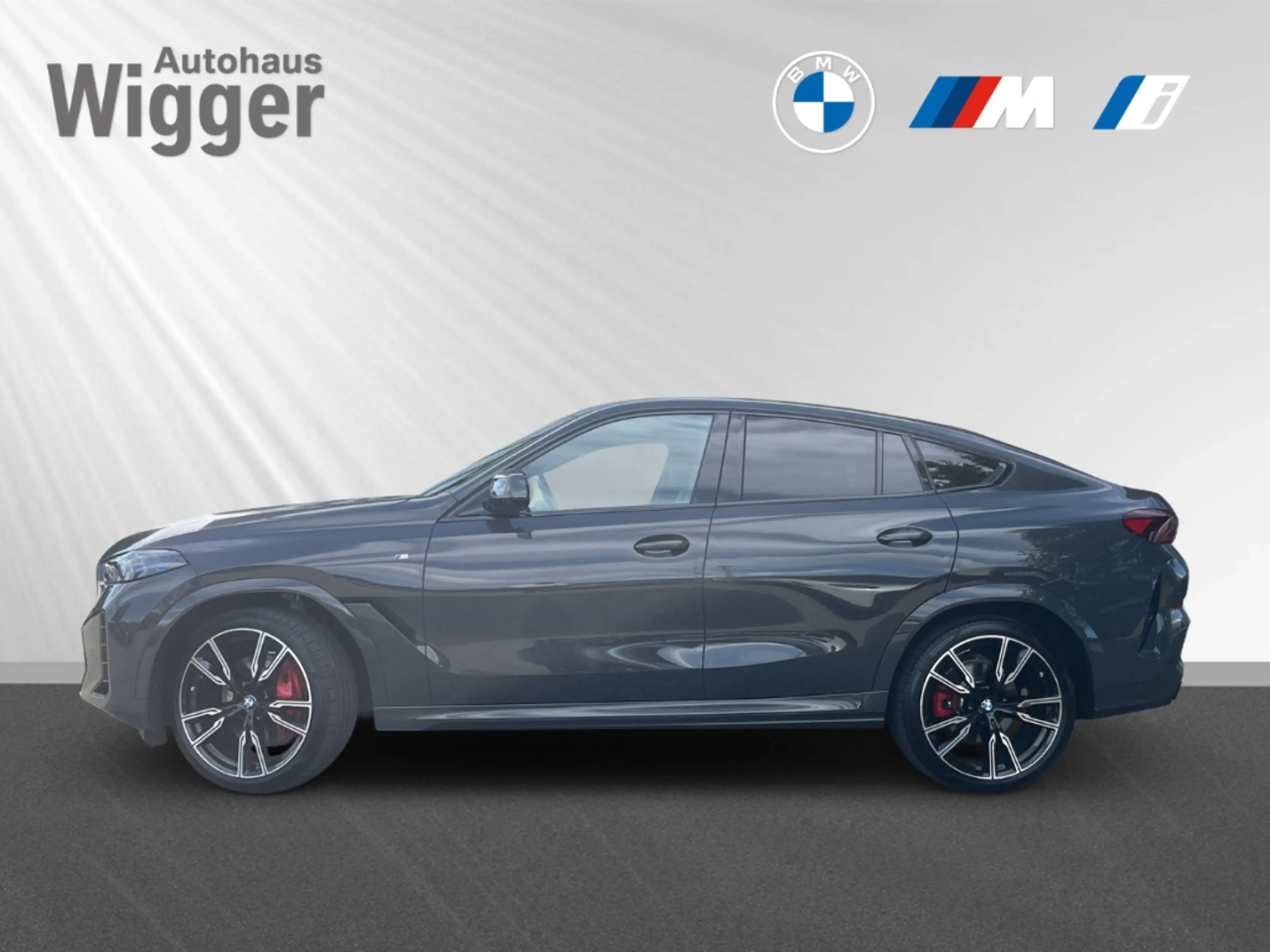 BMW X6 30d xDrive M Sport Pro/AHK/Navigation/Leder — photo 2