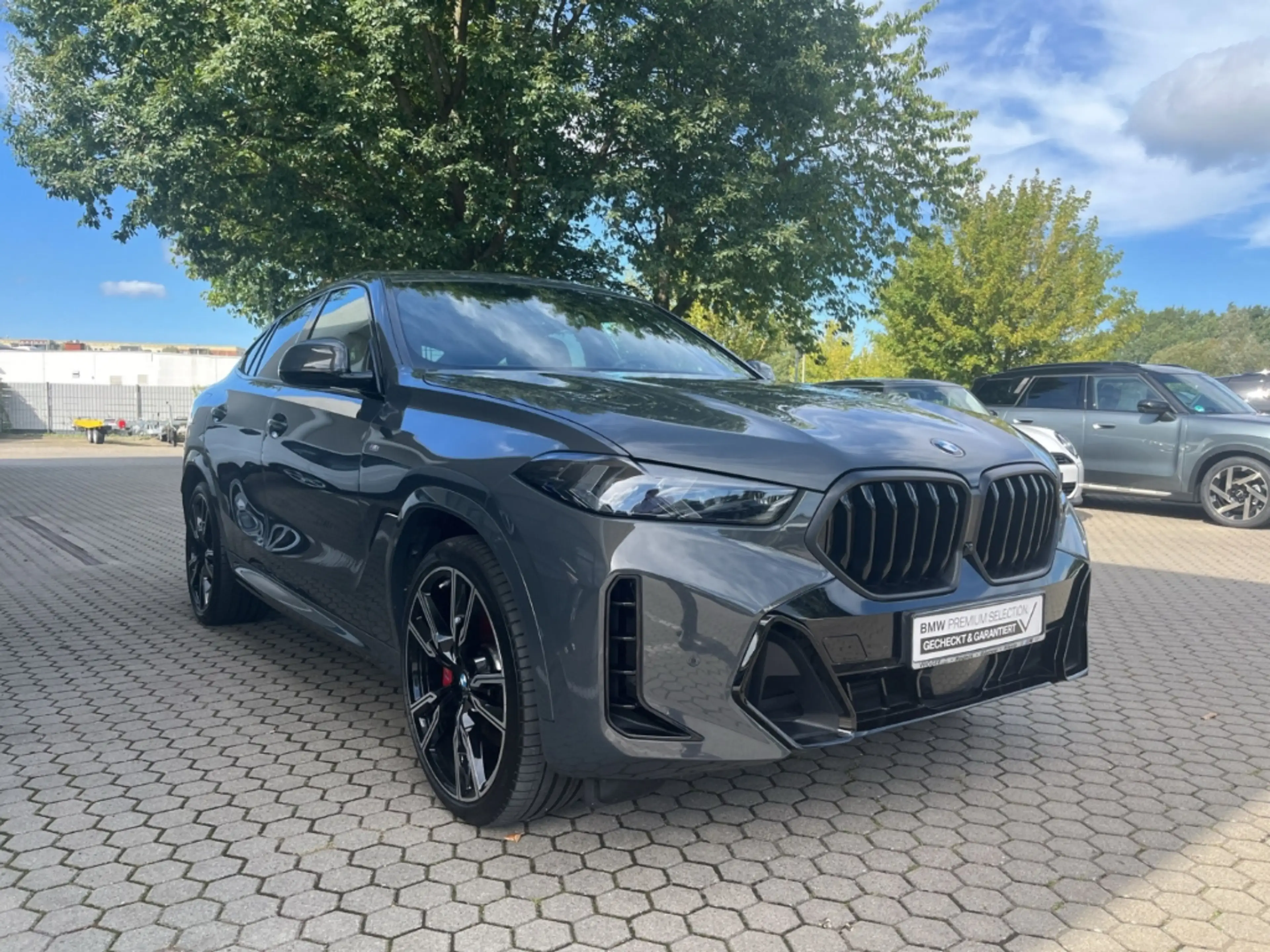 BMW X6 30d xDrive M Sport Pro/AHK/Navigation/Leder — photo 7