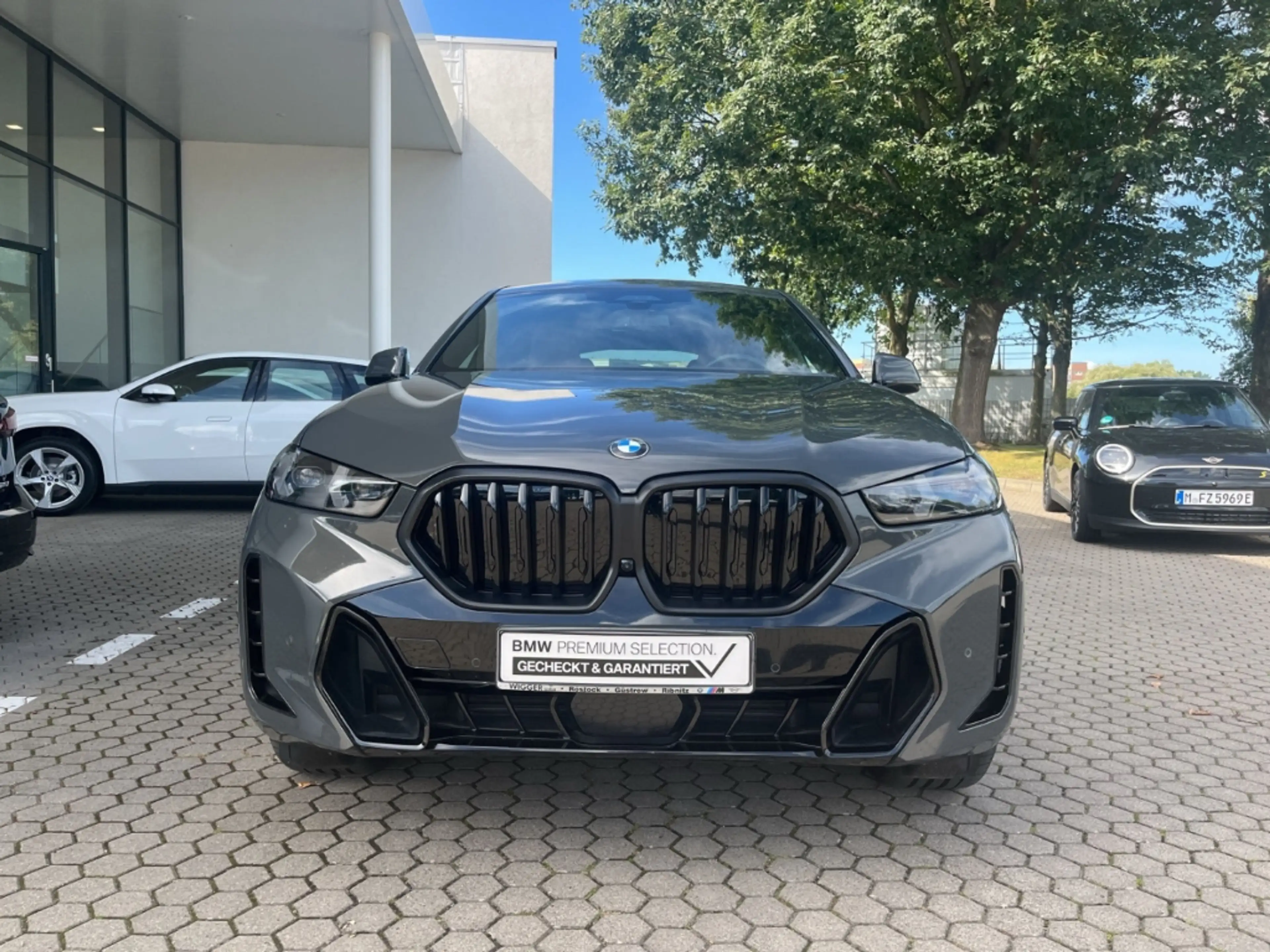 BMW X6 30d xDrive M Sport Pro/AHK/Navigation/Leder — photo 13