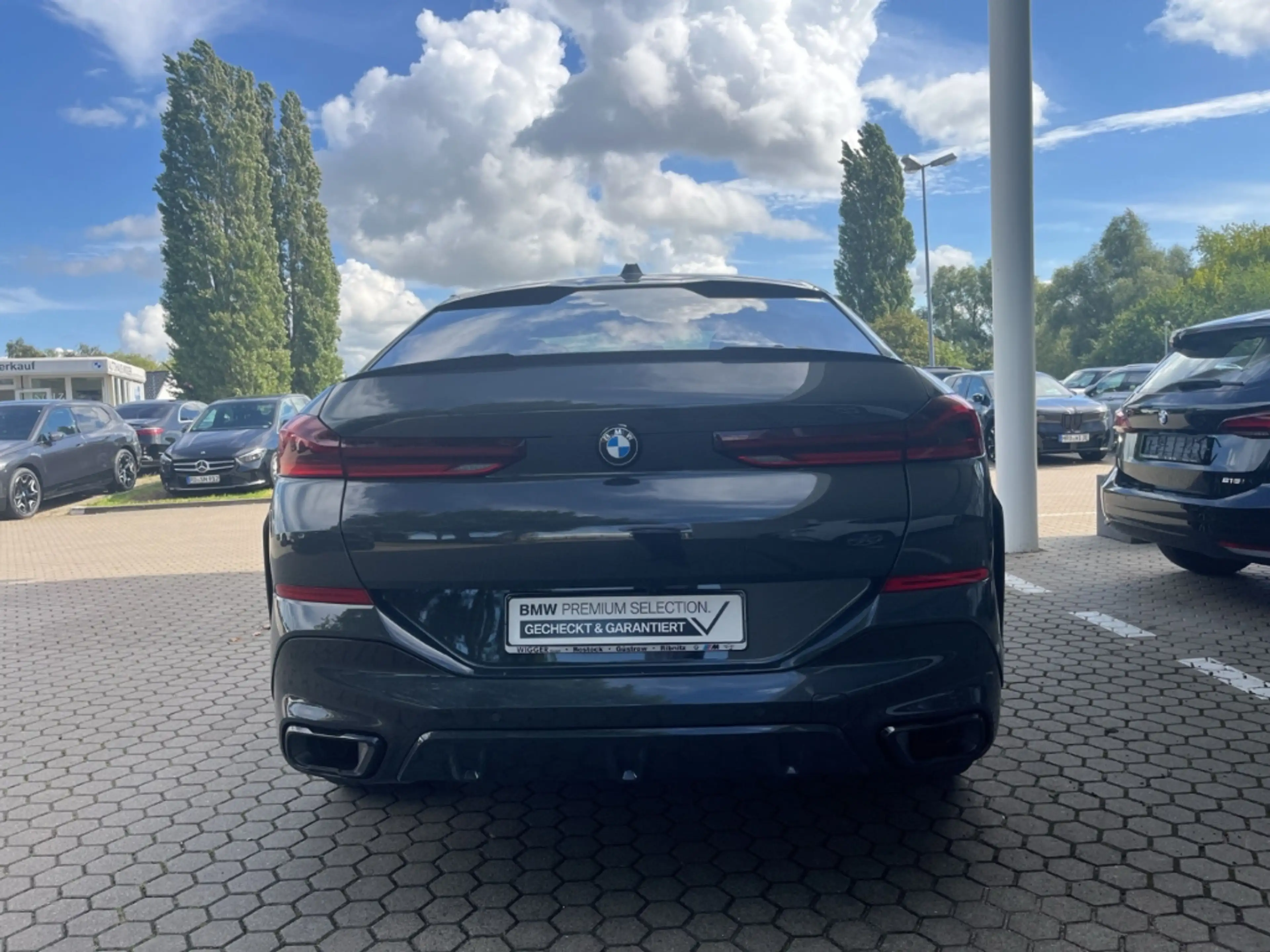 BMW X6 30d xDrive M Sport Pro/AHK/Navigation/Leder — photo 14