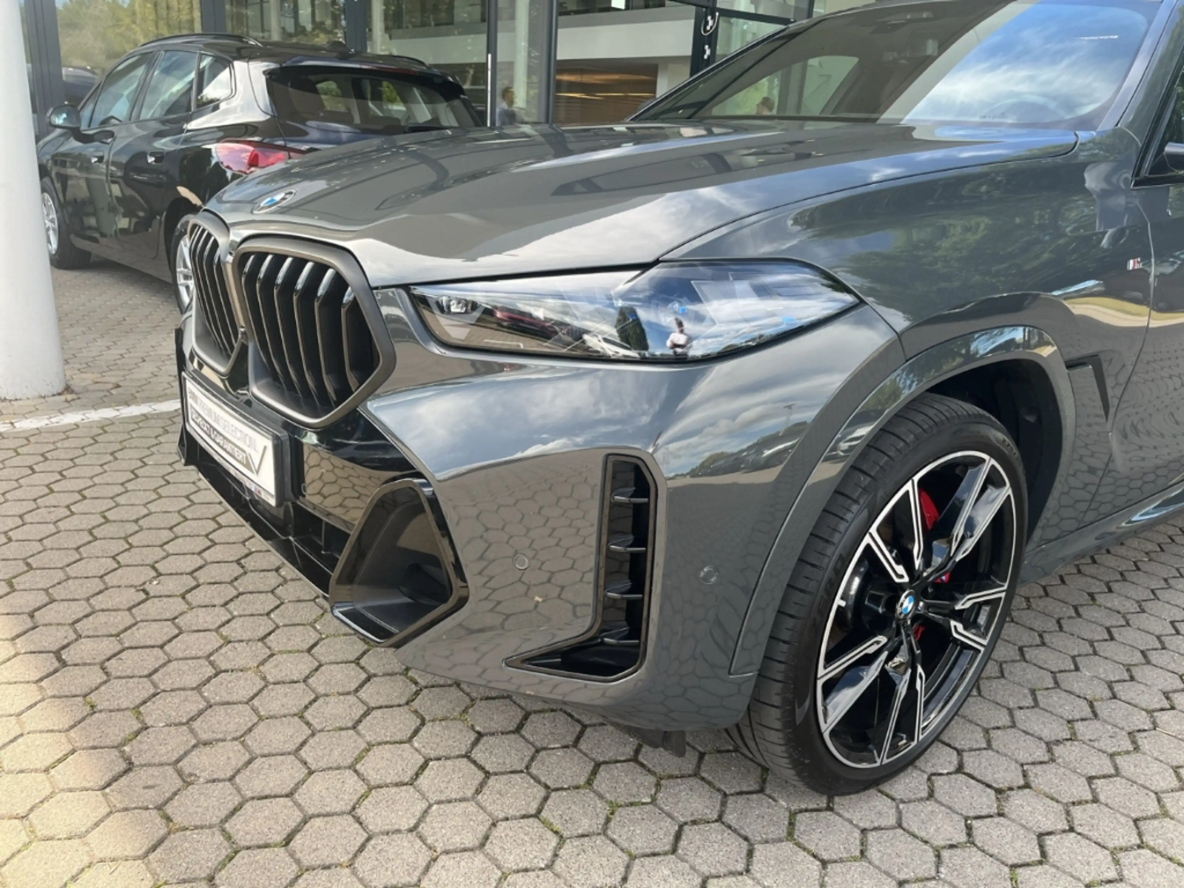 BMW X6 30d xDrive M Sport Pro/AHK/Navigation/Leder — photo 6