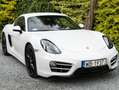 Porsche Cayman Cayman PDK Weiß - thumbnail 25