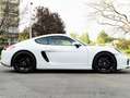 Porsche Cayman Cayman PDK Weiß - thumbnail 28