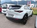 Mazda CX-30 e-Skyactive G122 Homura Weiß - thumbnail 3