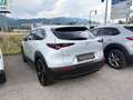 Mazda CX-30 e-Skyactive G122 Homura Weiß - thumbnail 5
